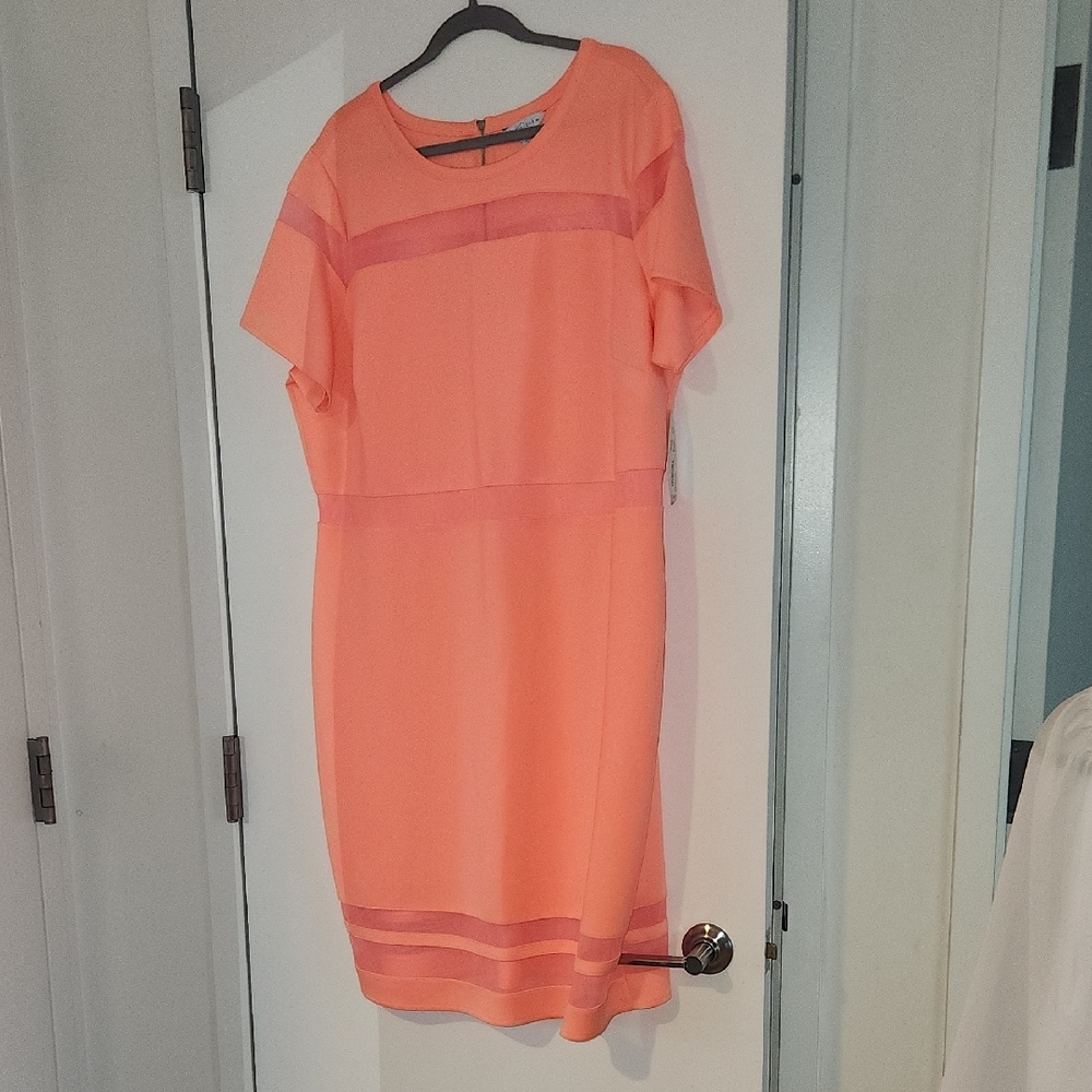 Elegant Orange Dress